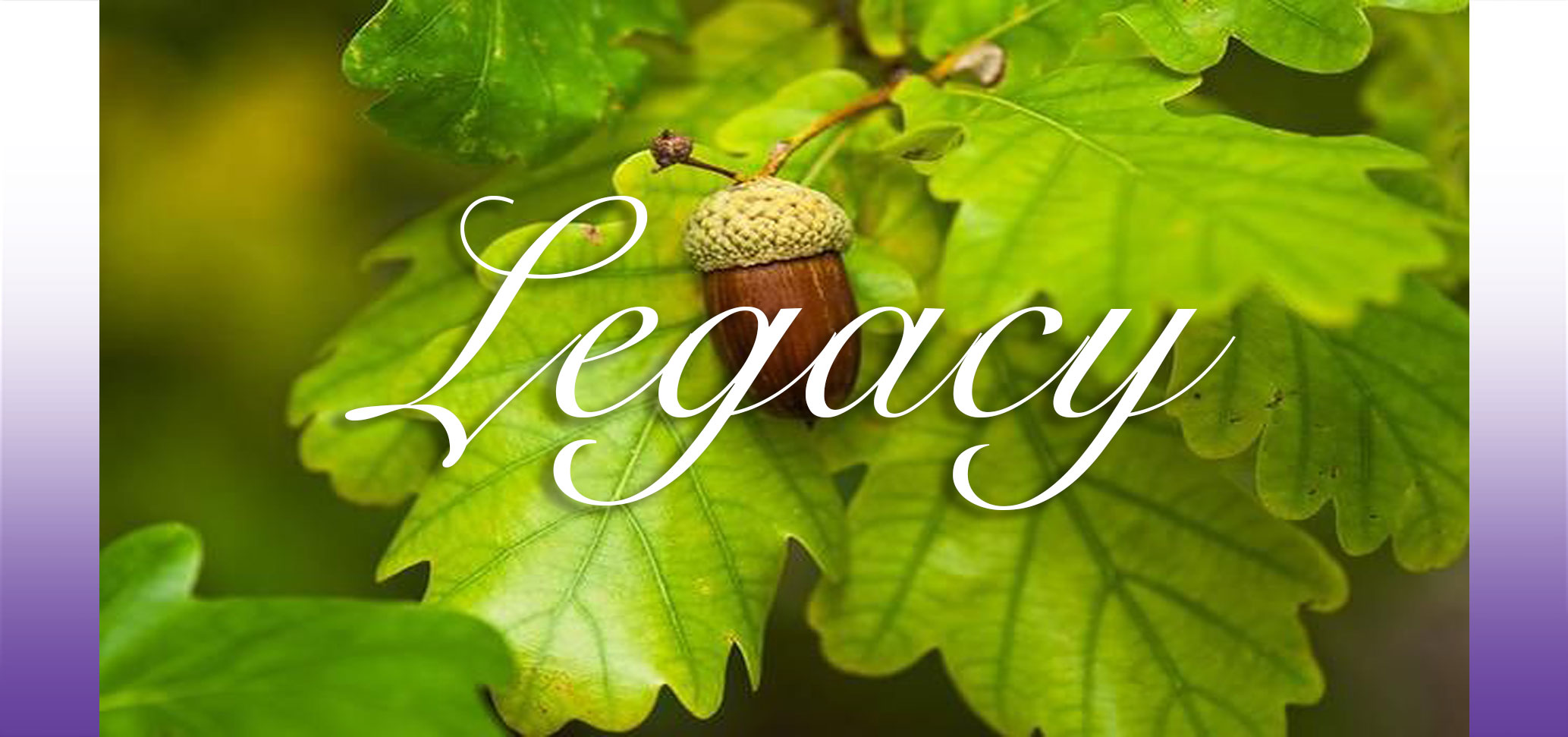 Leave a legacy to the Rock Foundation UK Charity