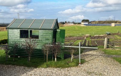 Rock wins funding from Delamere Dairy Foundation for Allotment Pack-house project