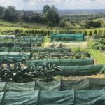 An update on the Hillside Market Garden at Rock Foundation Caistor