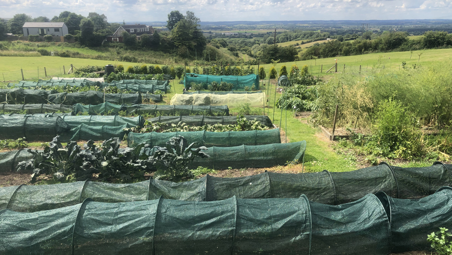 Useful flyer download about Rock Fondation's hillside market garden and landmarks in the distance